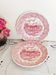 2 Italian English porcelain dinner plates: Swiss Landscape
