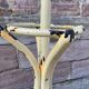 Vintage 1960s Parrot Coat Rack Bentwood