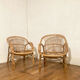 Pair of rattan armchairs