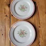 Set of 8 Sologne dessert plates from Lunéville