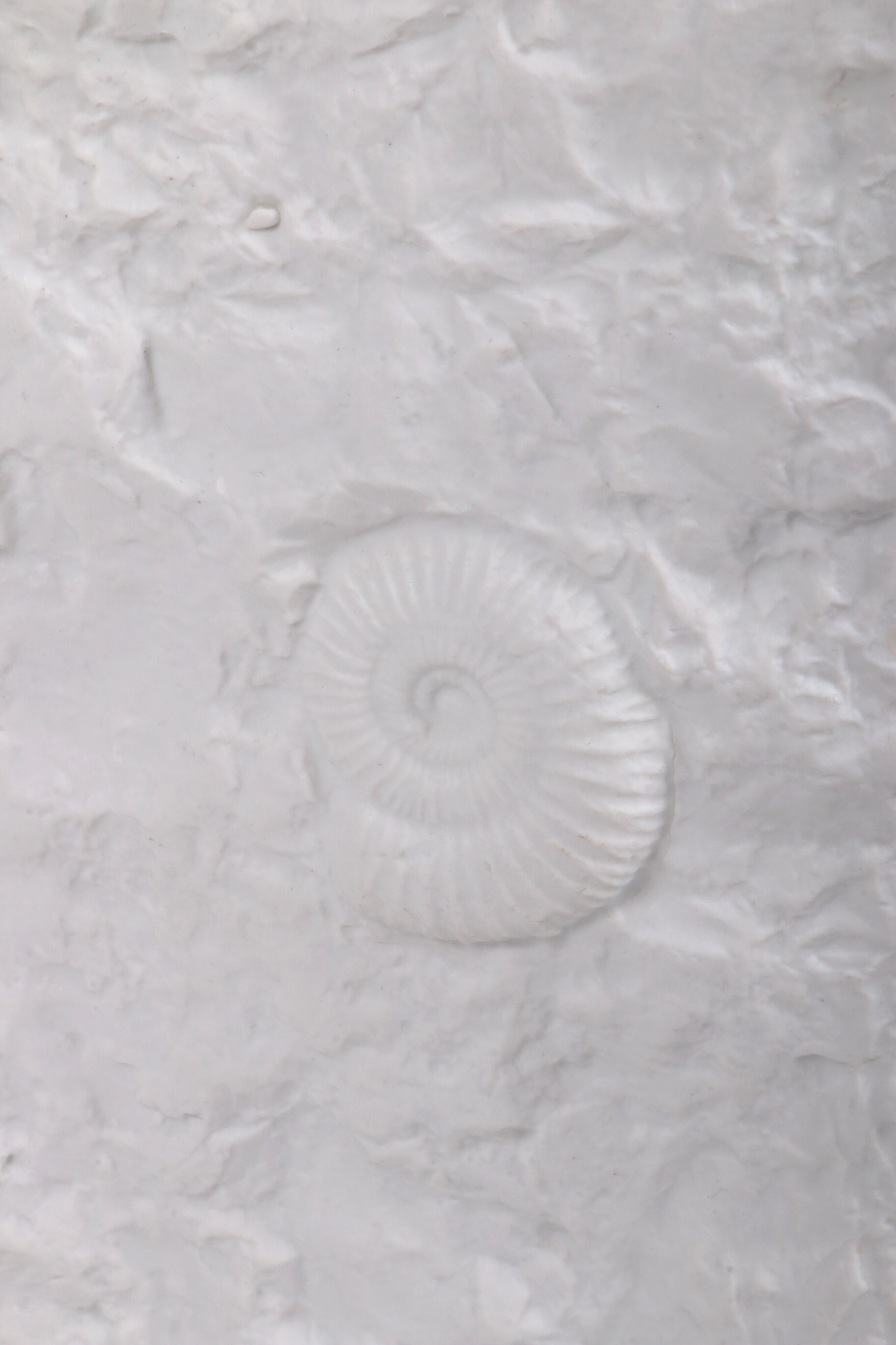 Large AK Kaiser porcelain vase with a white shell fossil pattern