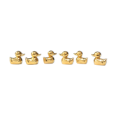 6 duck name holders