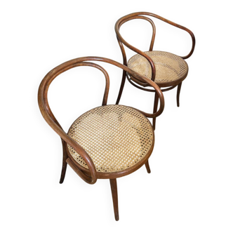Chair 209 Thonet, Ligna 1960s