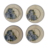 4 flat plates luneville hydrangea