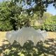 Vintage lampshade lace pleated transparent glass claw