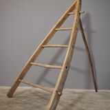 Fir and beech staircase