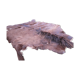 Foal skin