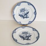 2 old Moss Rose J. Ridsway English porcelain plates