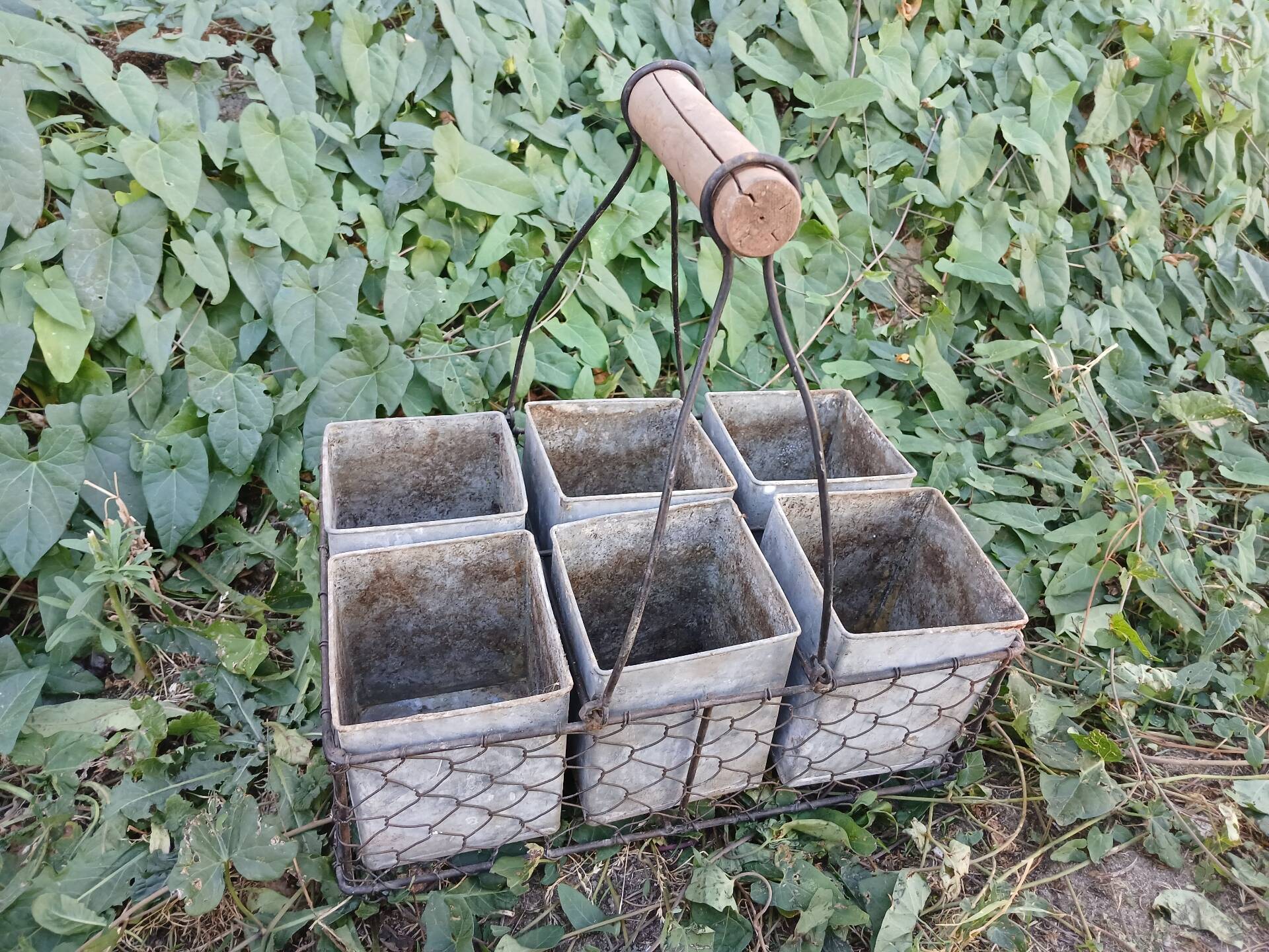 Wire mesh basket
