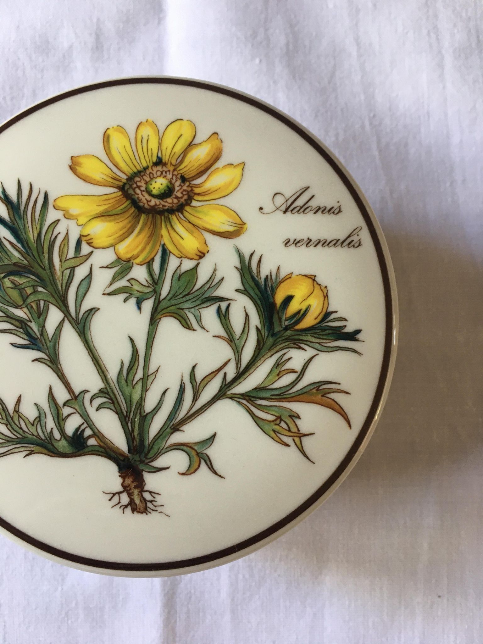 Bonbonnière Villeroy & Boch