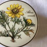 Bonbonnière Villeroy & Boch