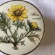 Bonbonnière Villeroy & Boch