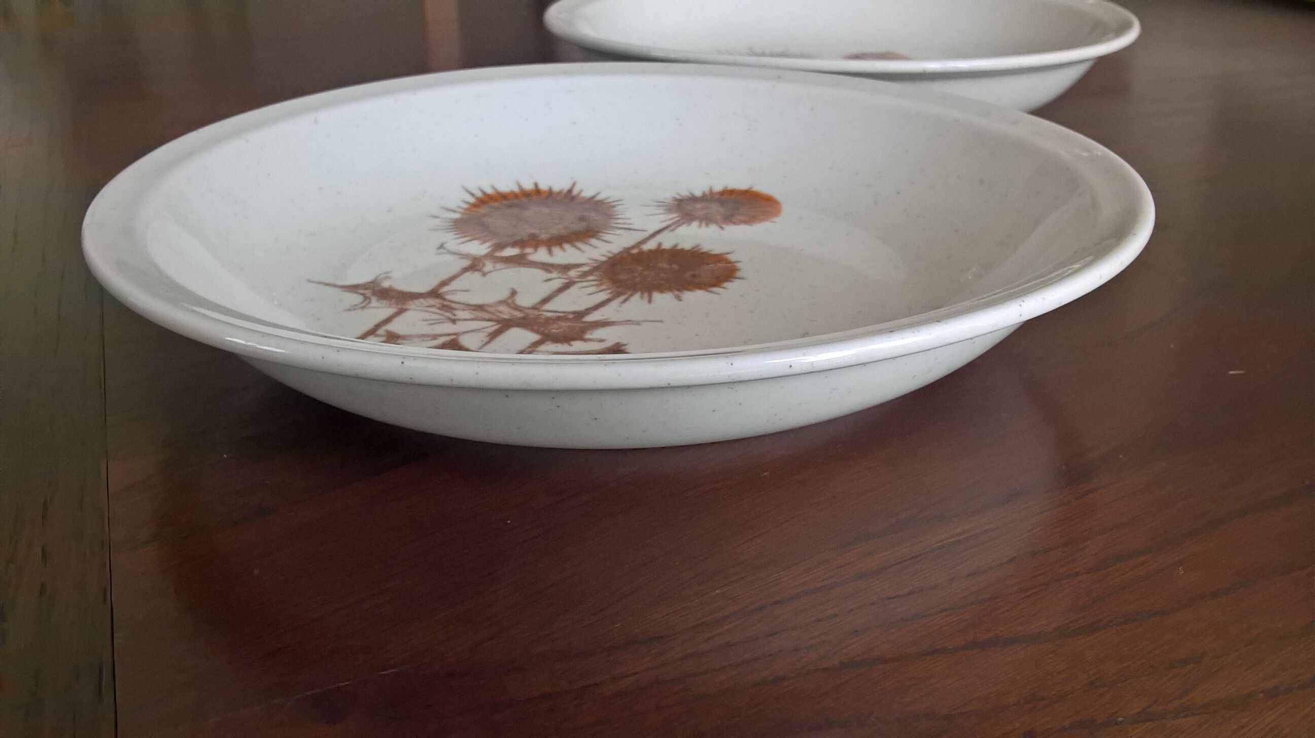 Lot de 2 assiettes creuses Sarreguemines "Chardons"