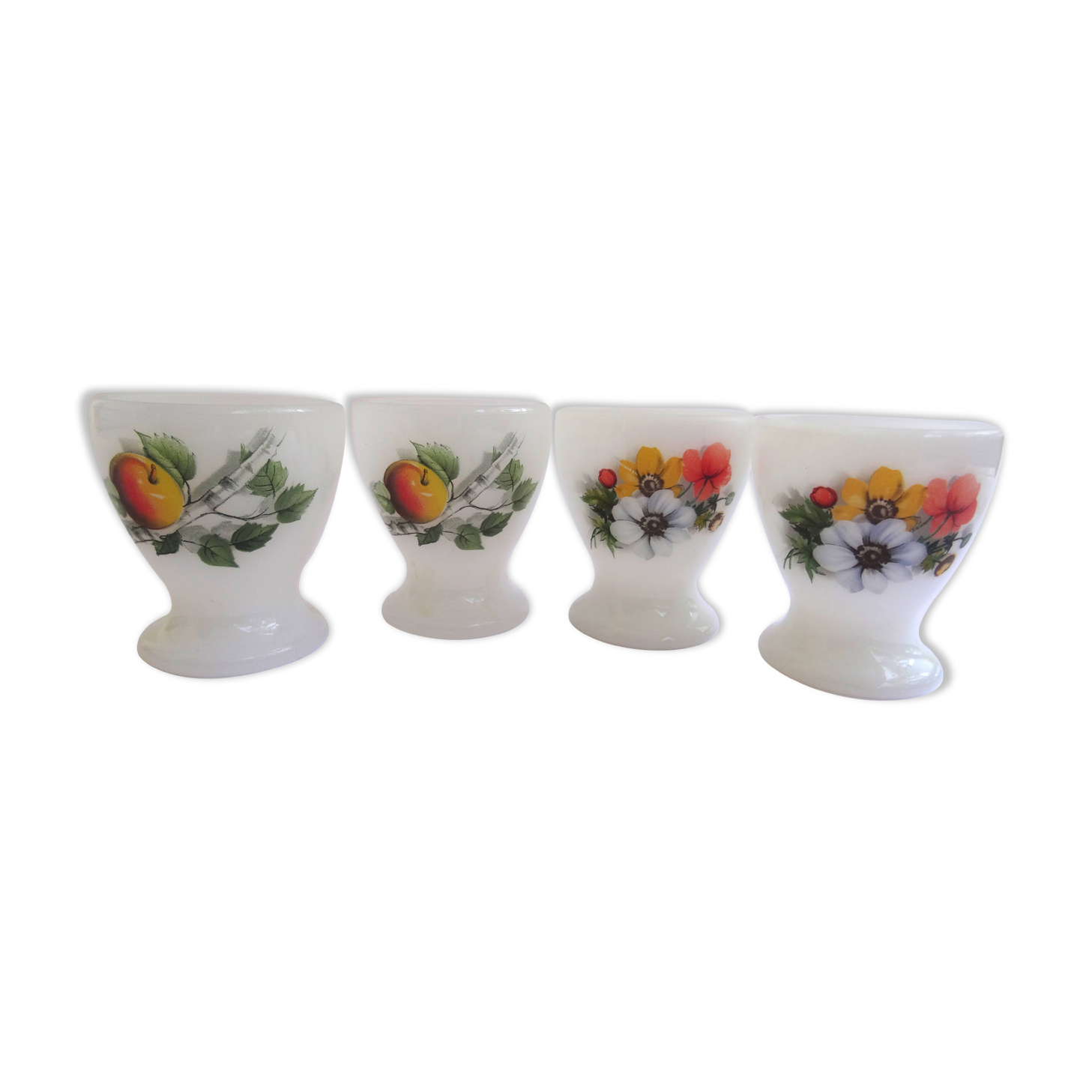 Arcopal cockroaches