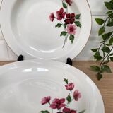 Set of 5 hollow porcelain plates