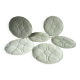 White porcelain oyster plates