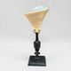 Ancient Troca Trochus shell in mother-of-pearl on a wooden base curiosities
