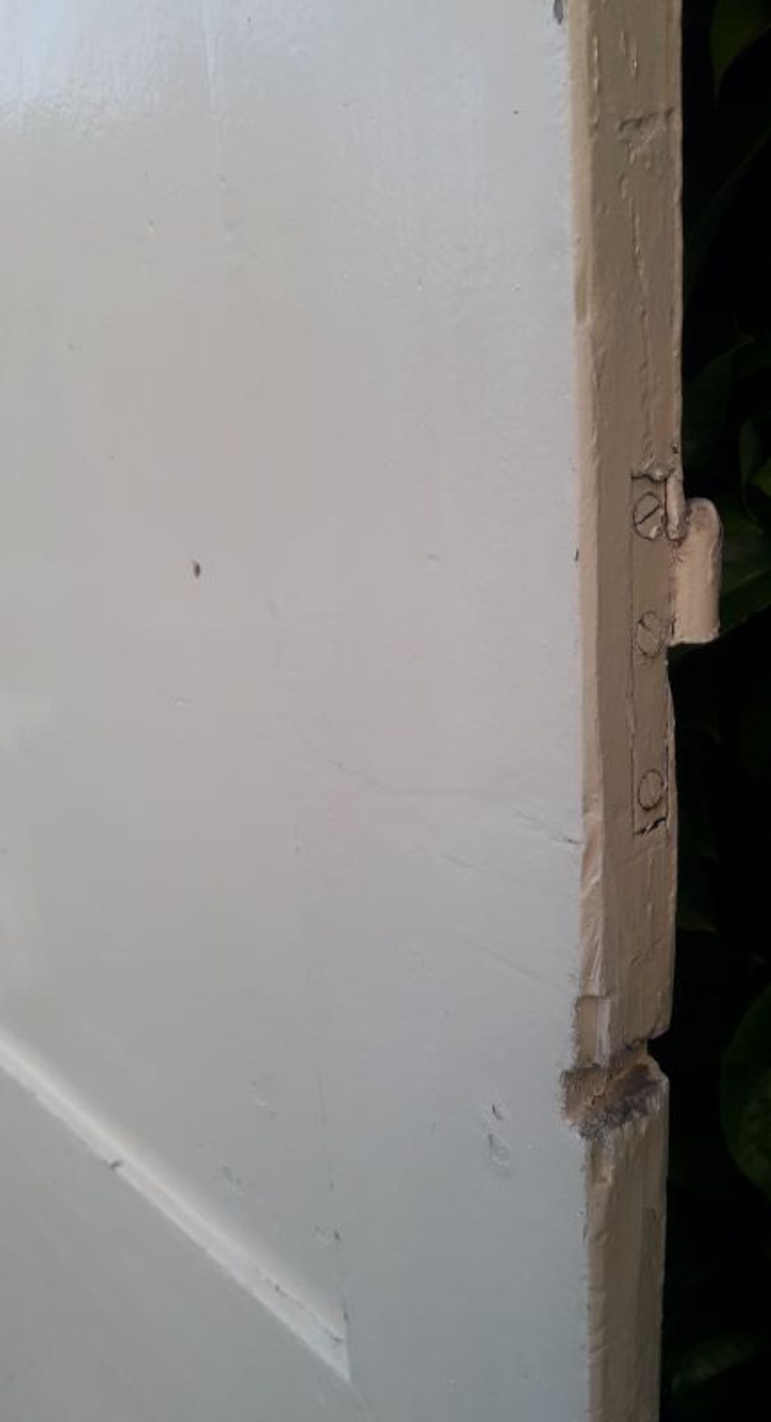 Porte 229,2x79,2cm de placard ancienne