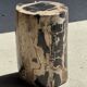 Petite table d'appoint en bois pétrifié cœur noir écorce stries noires et b