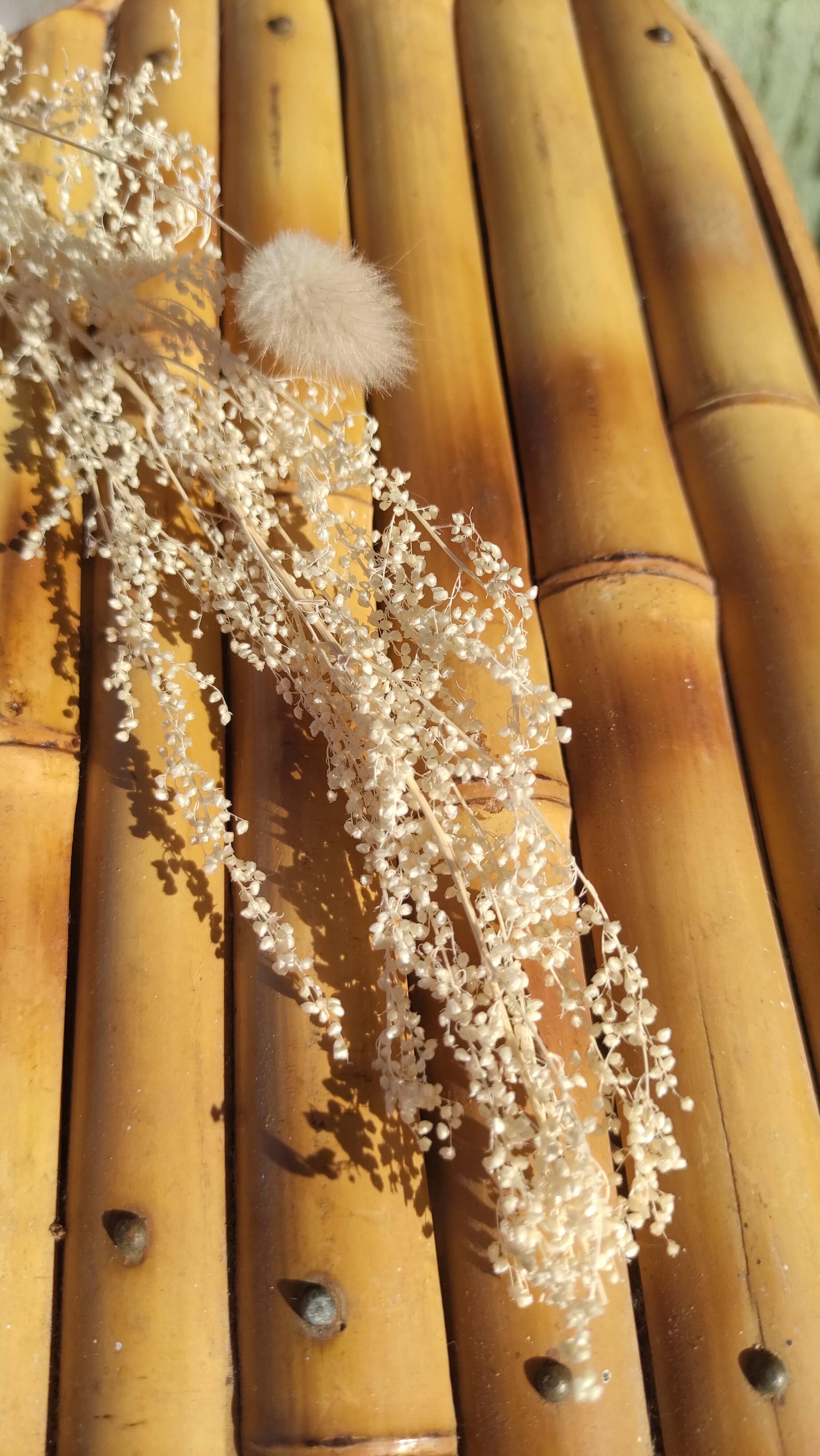 Vintage bamboo tripod stool
