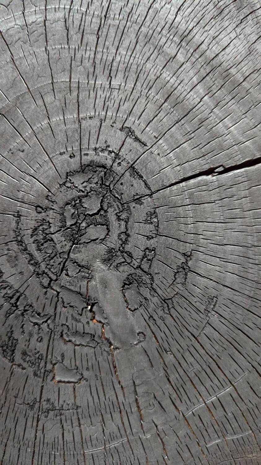 Burnt wood coffee table