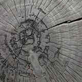 Burnt wood coffee table