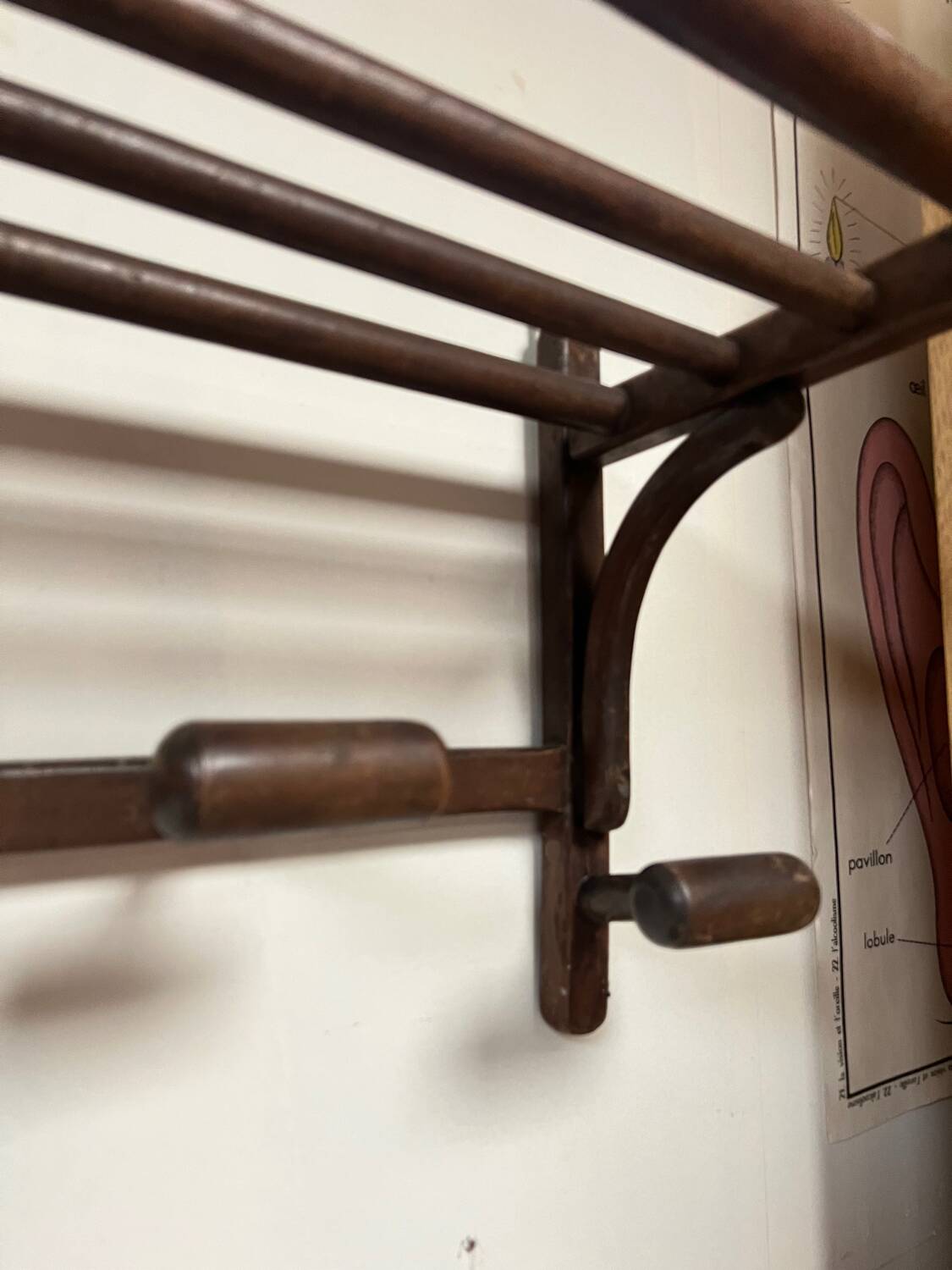 Old oak wall coat rack