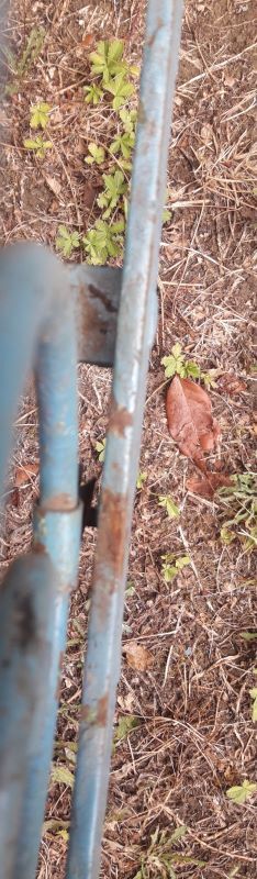 Folding iron bed XIX°