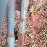 Folding iron bed XIX°