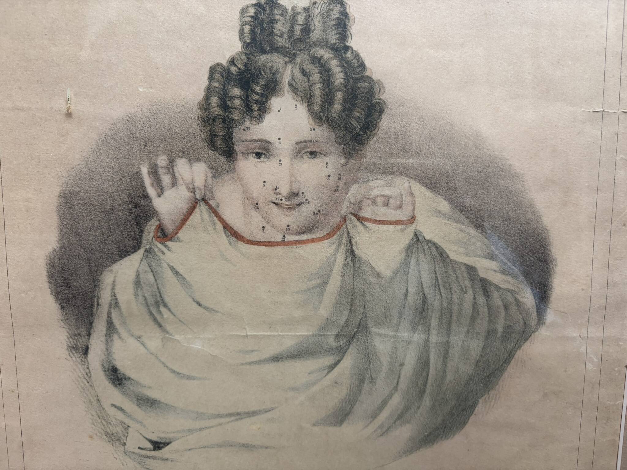 Gravure 19th Century Anatomy Face Woman ANGELO ZAFFONATO "Five Senses"