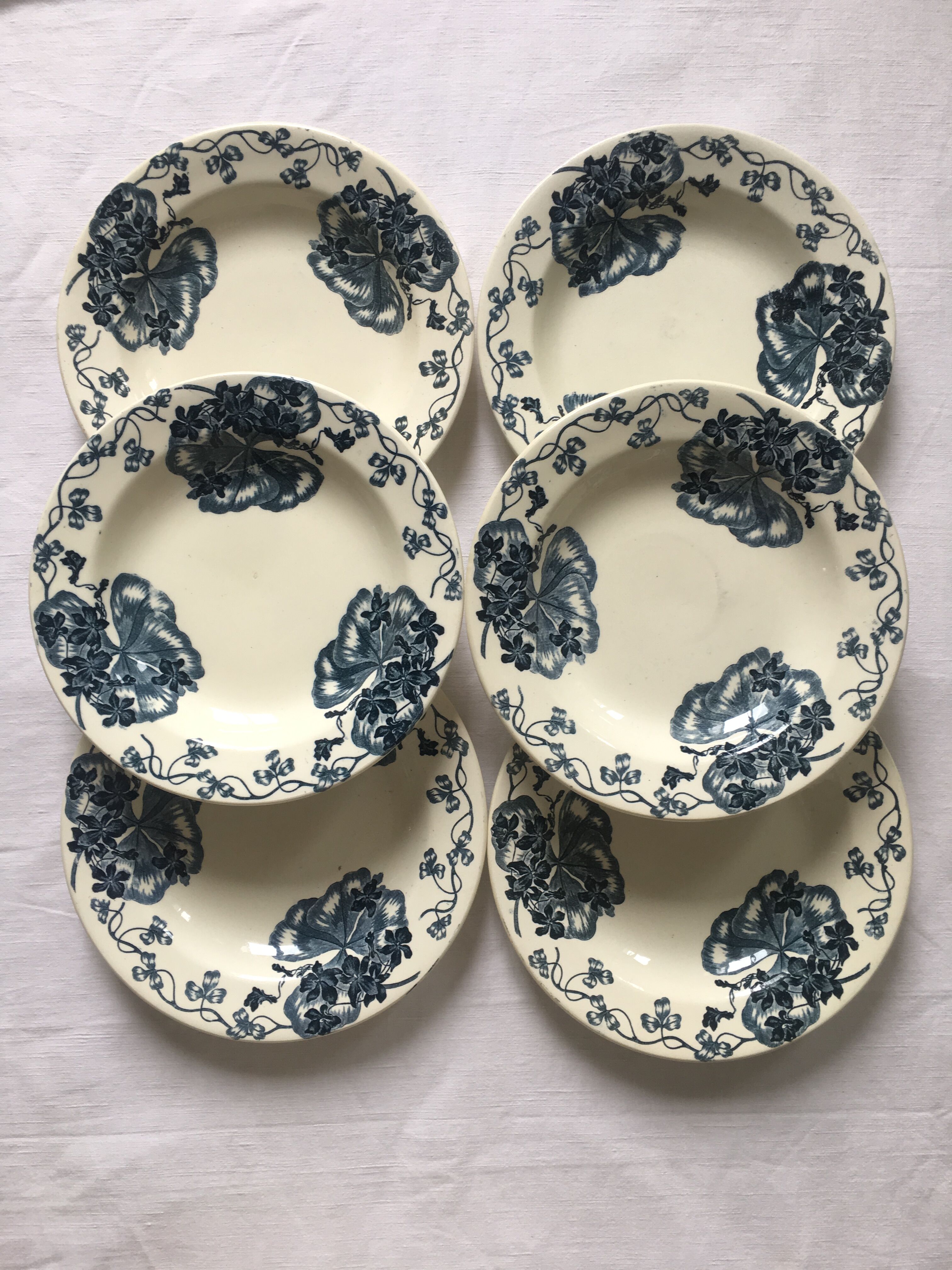 6 hollow plates Terre de Fer Salins Les Violettes