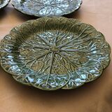 6 plates green slurry cabbage leaf