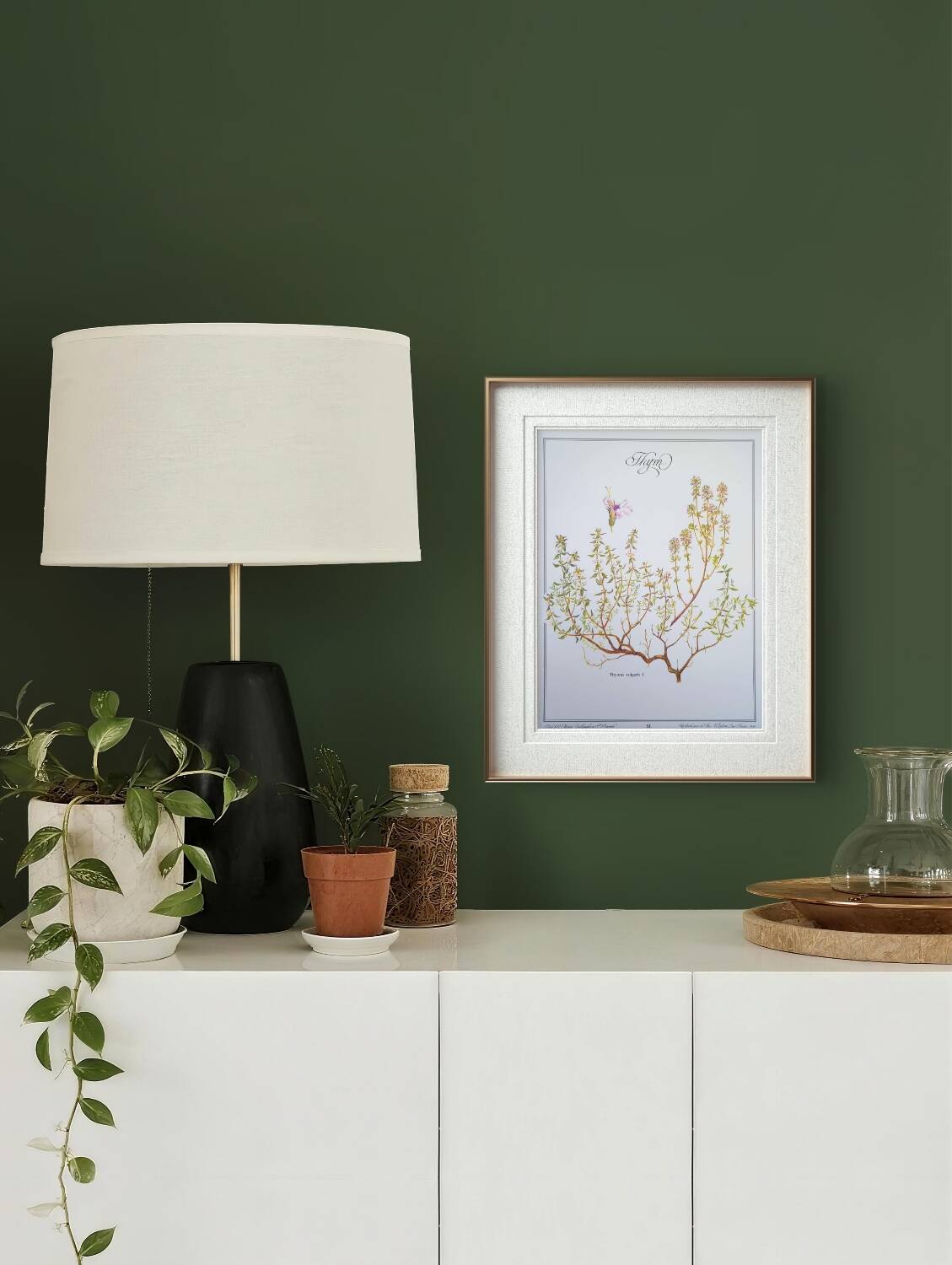 Printed in 1995, the Thyme. Vintage Botany.