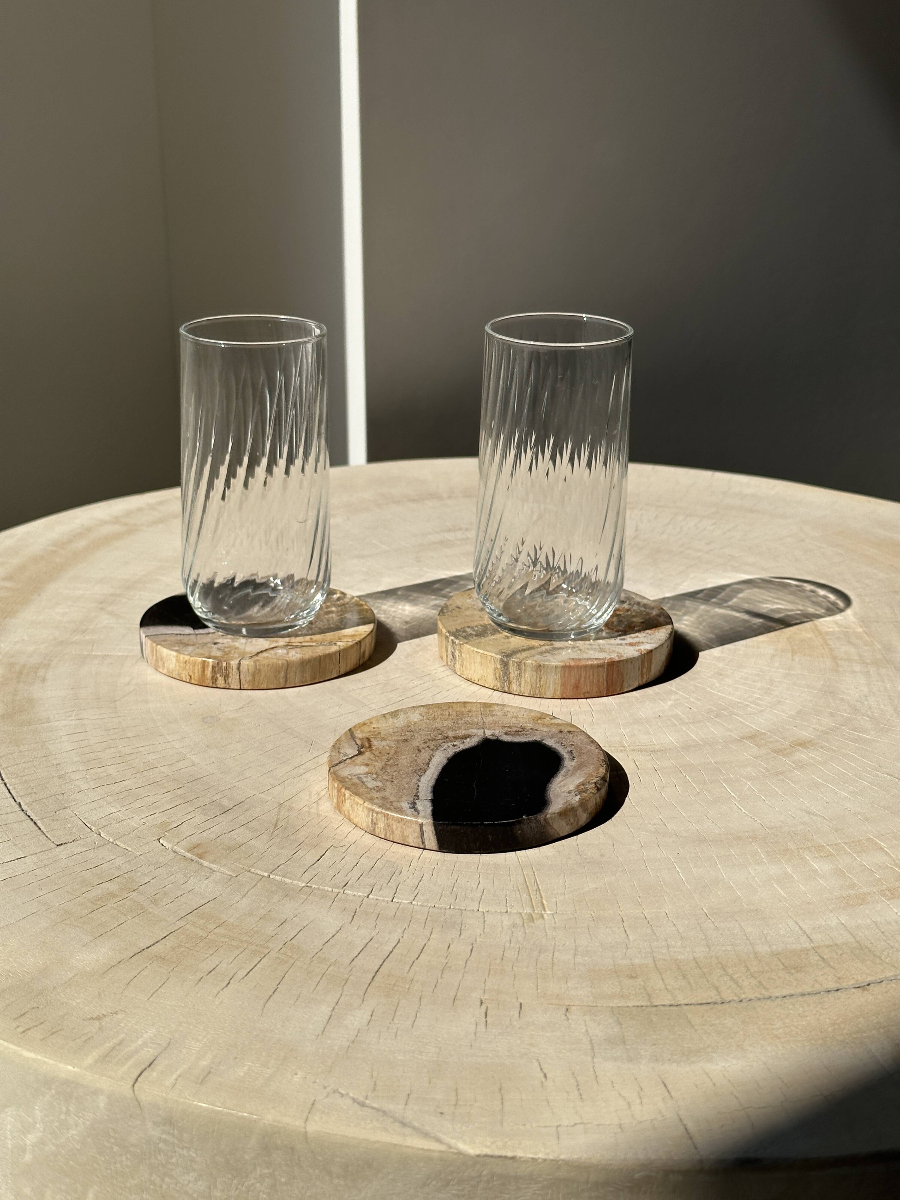 Set of 3 fossilized wood coasters (clear)