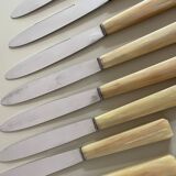 Set of 12 antique knives in green case