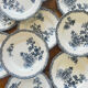 10 ironstone plates