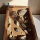 Old sloping pine display case