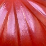 Empty cardboard bag boiled mid-nineteenth