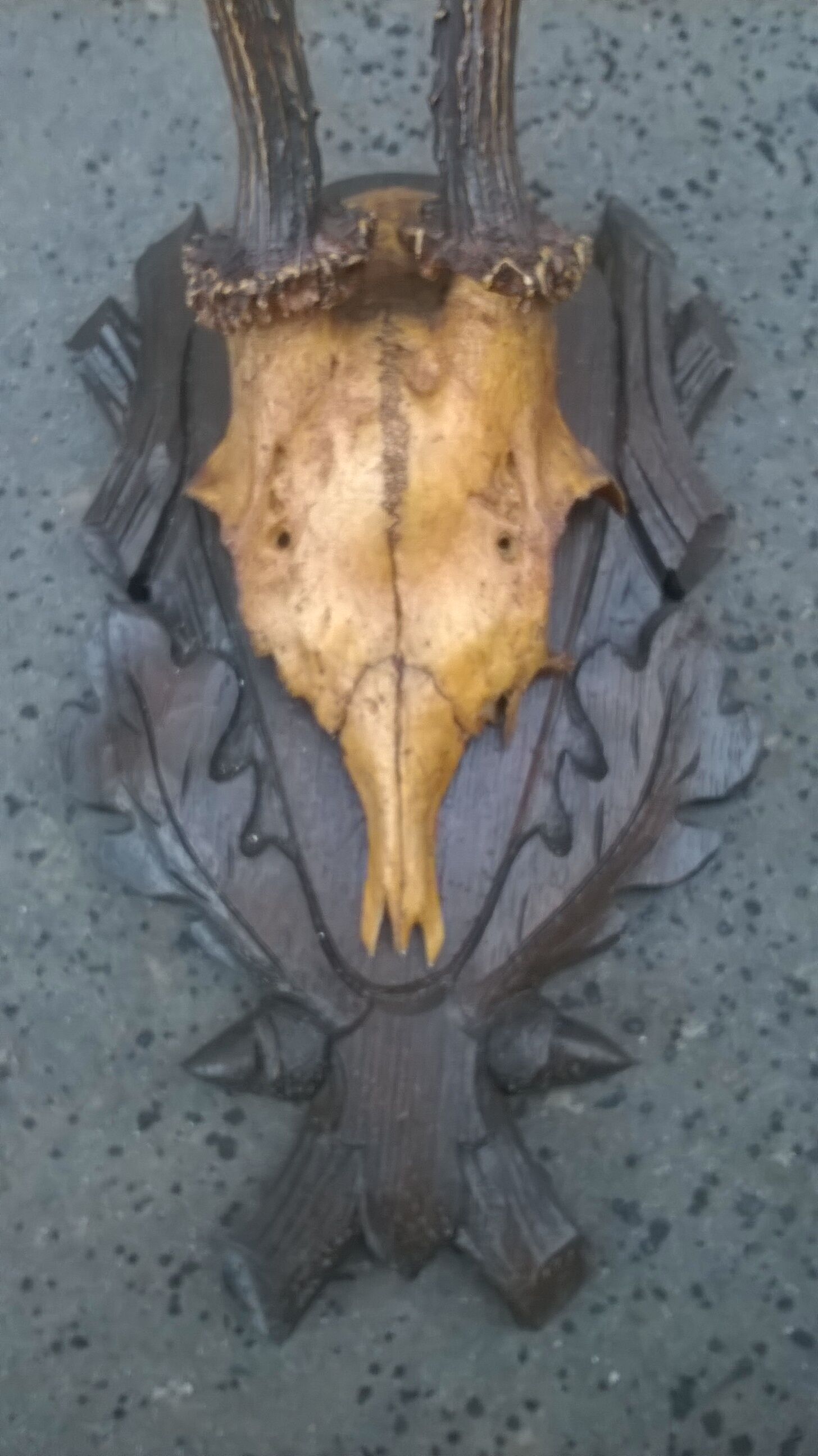 Crane chevreuil taxidermie