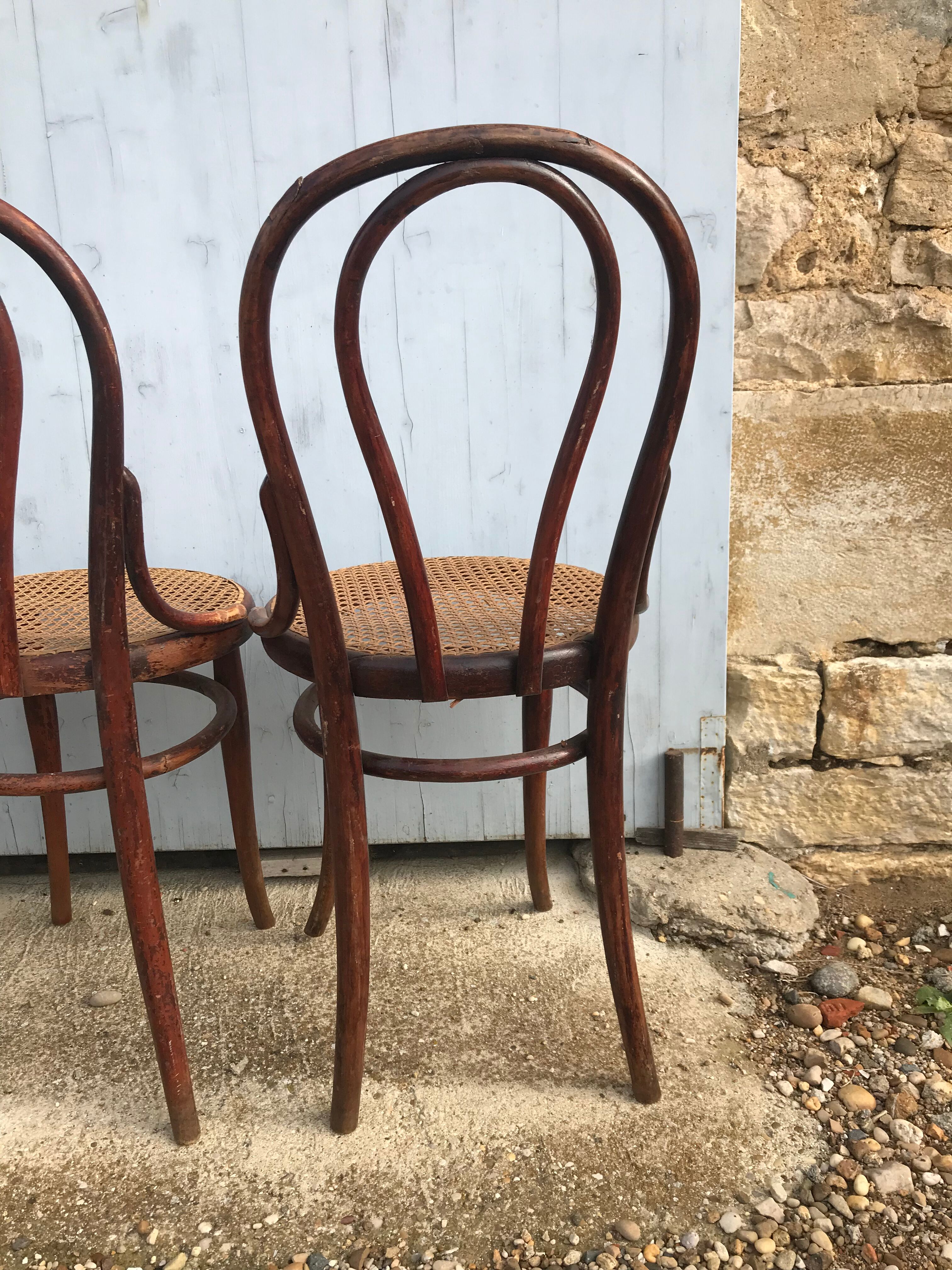 Suite de 6 chaises Thonet
