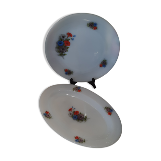 Set of 2 vintage Arcopal dishes