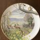 Set of 12 decorative plates Royal Worcester – Peter Barrett – Edition
