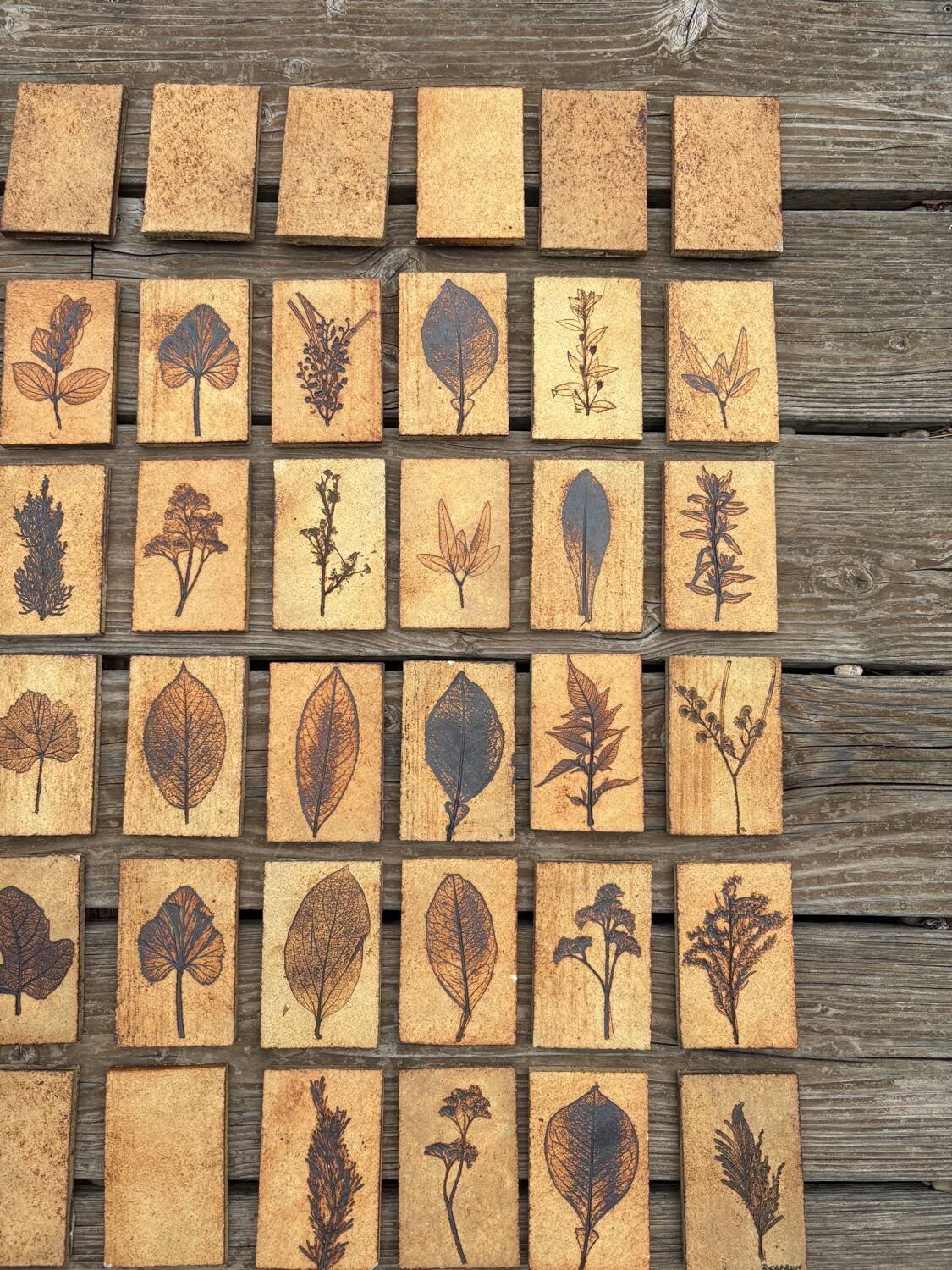 Set of 52 Vallauris herbarium tiles signed Capron