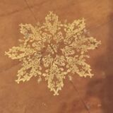 Round winemaker's table on original leather inlay gilded
