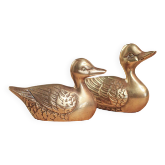 Pair of golden brass ducks