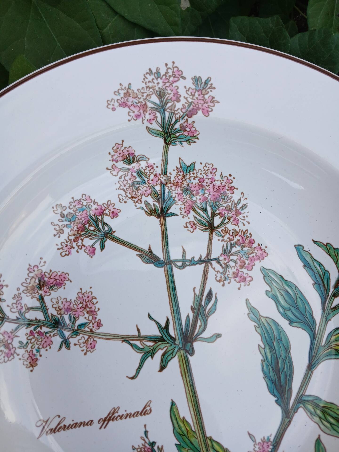 Assiette creuse Villeroy et Boch