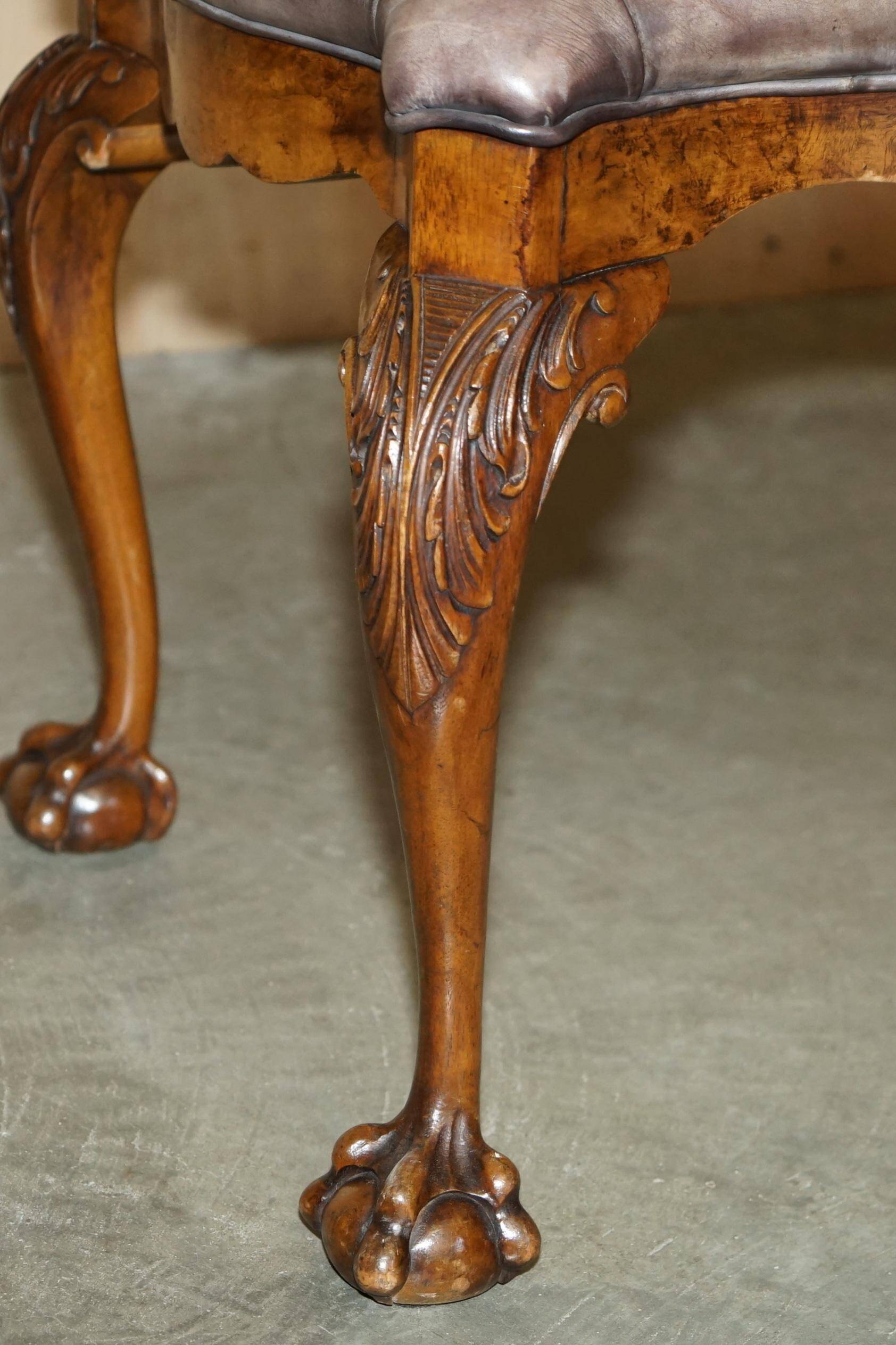 Banc ancien en cuir et noyer burr, style victorien