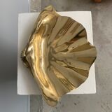 Empty clam pocket