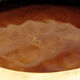 Vallauris fish