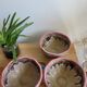 Trio Vallauris bowls in glazed stoneware